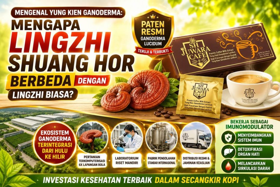 Mengenal Yung Kien Ganoderma: Mengapa Lingzhi Shuang Hor Berbeda dengan Lingzhi Biasa? Mengenal Yung Kien Ganoderma: Mengapa Lingzhi Shuang Hor Berbeda dengan Lingzhi Biasa?